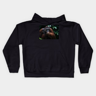 "George" Large male Orangutan, Borneo Kids Hoodie